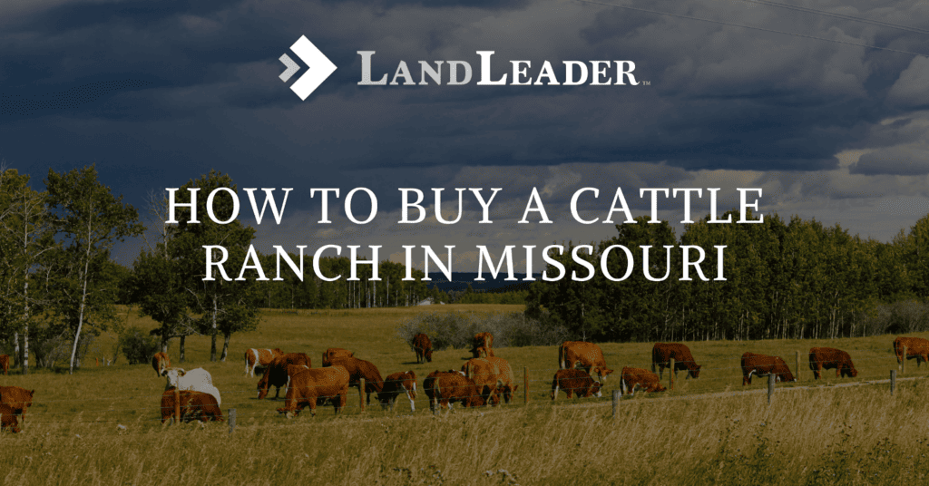 Missouri Cattle Ranch for Sale