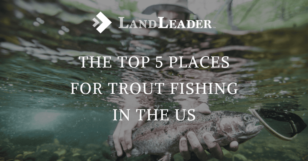 Trout fishing in the USA