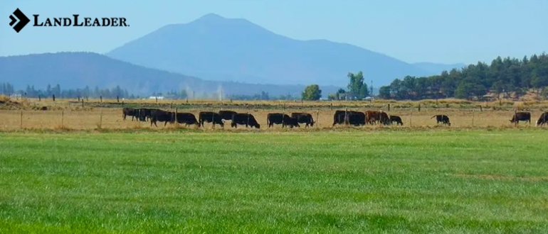 Farms and Ranches for Sale in Colorado