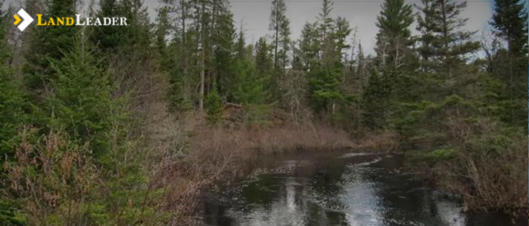 Land for Sale in Upper Peninsula