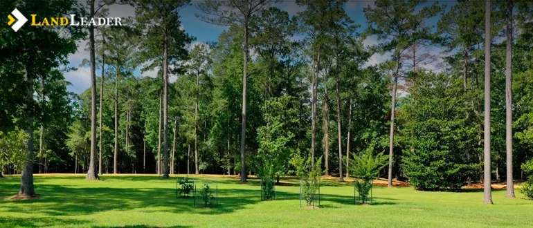 Land for sale in Alabama