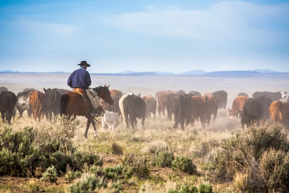 View Ranches For Sale